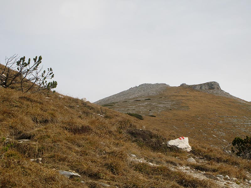 almkogel